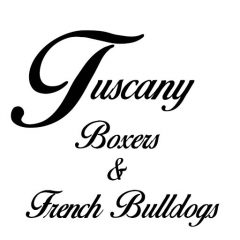 Tuscany Boxers and French Bulldogs
